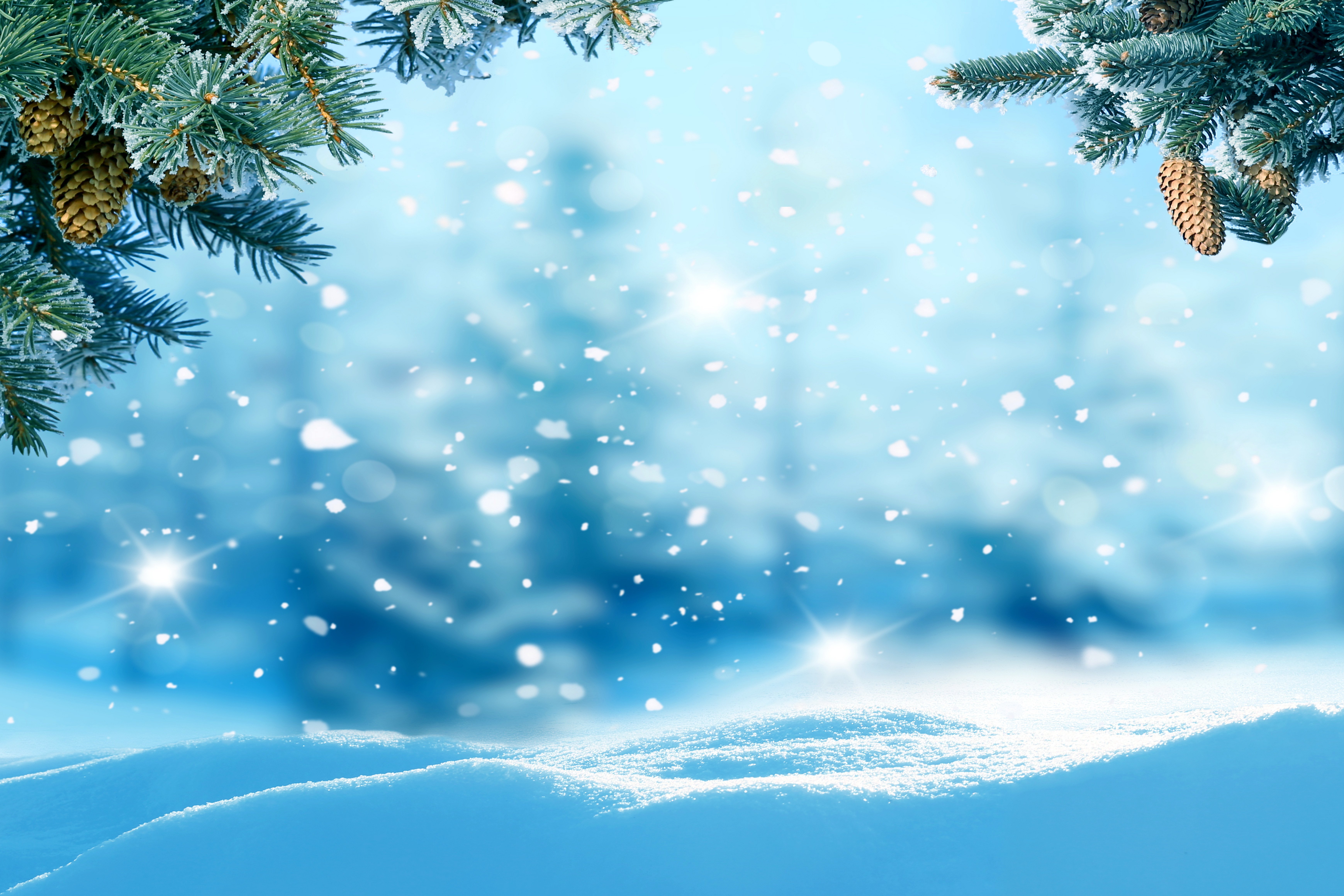 winter, Snow, Nature, Landscape Wallpaper