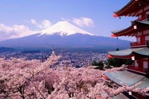tokyo, City, Spring, Tree, Flower, Beautiful, Mountain