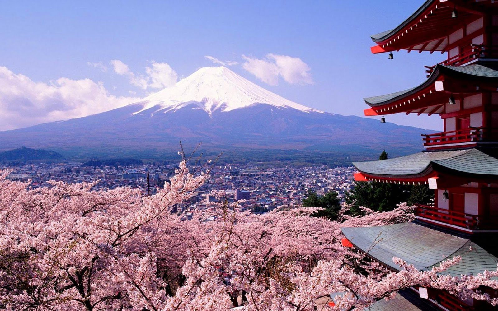 tokyo, City, Spring, Tree, Flower, Beautiful, Mountain Wallpaper