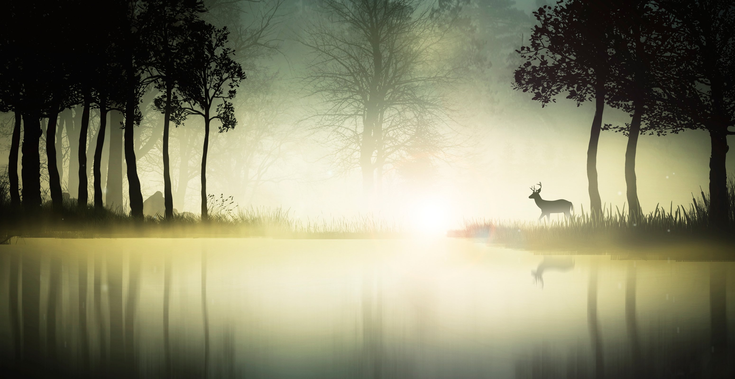 forest, Trees, Nature, Landscape, Tree, Autumn, Deer, Art, Artwork Wallpaper