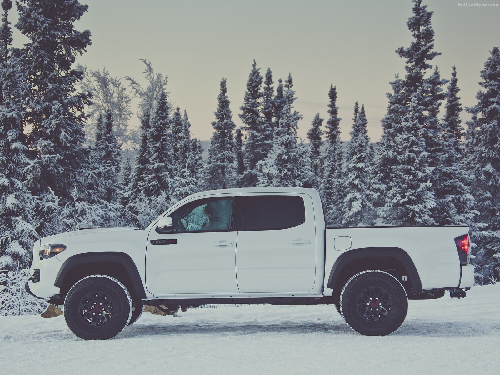 toyota, Tacoma, Trd, Pro, Cars, Truck, Pickup, White, 2016 Wallpaper