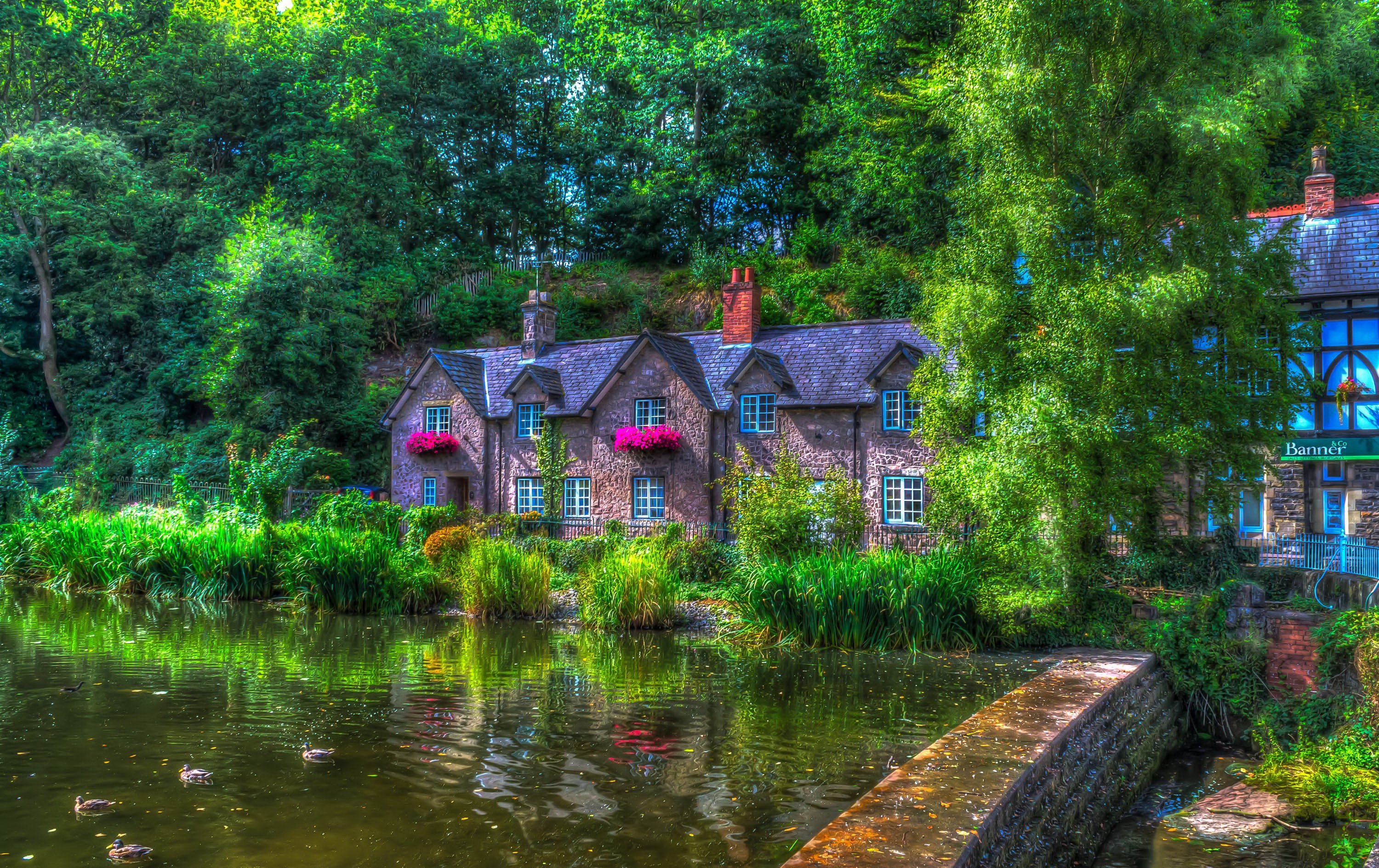 england, Houses, Pond, Ducks, Summer, Hdr, Trees, Lymm, Cities Wallpaper