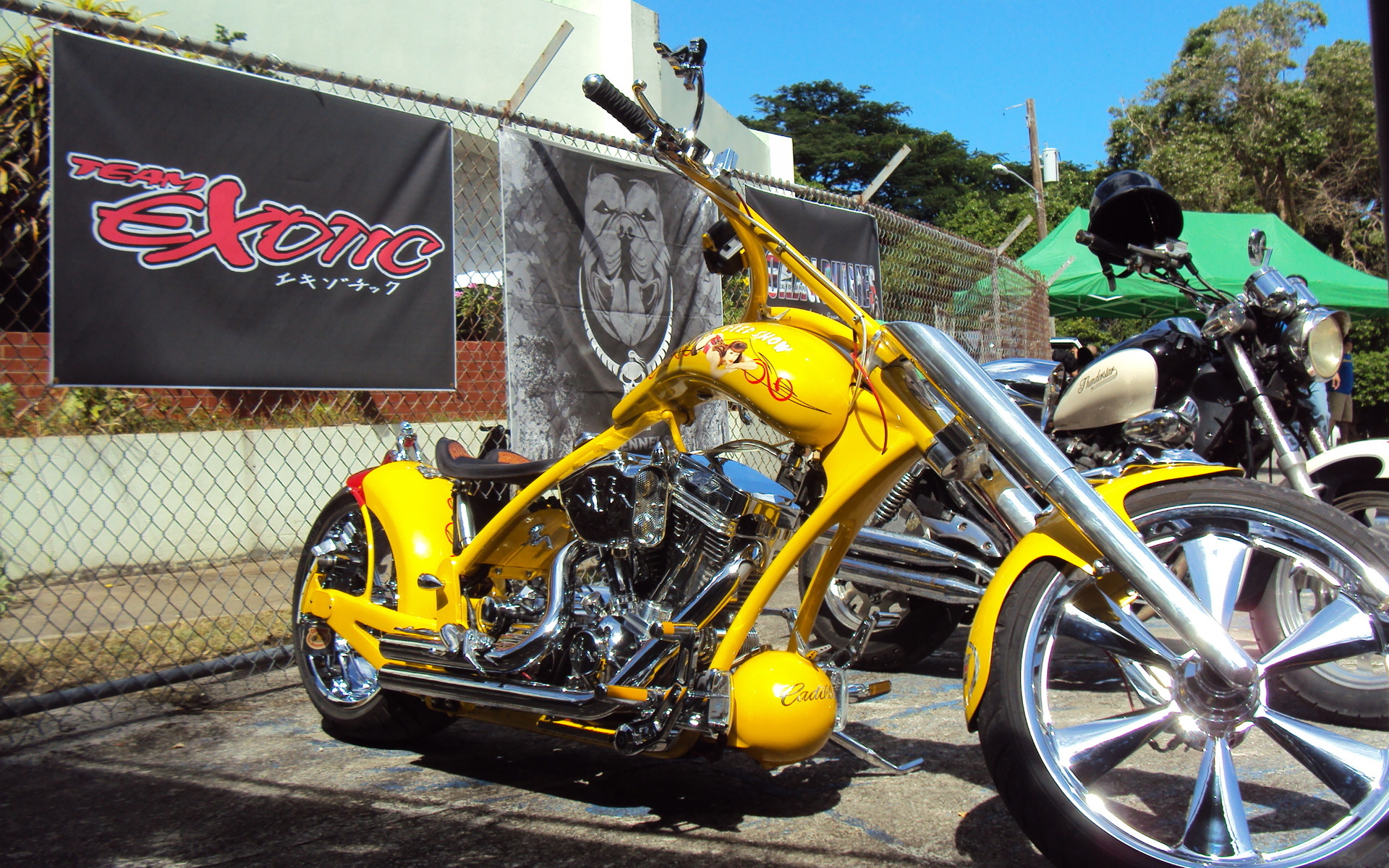 chopper, Harley, Davidson, Motorcycle Wallpaper
