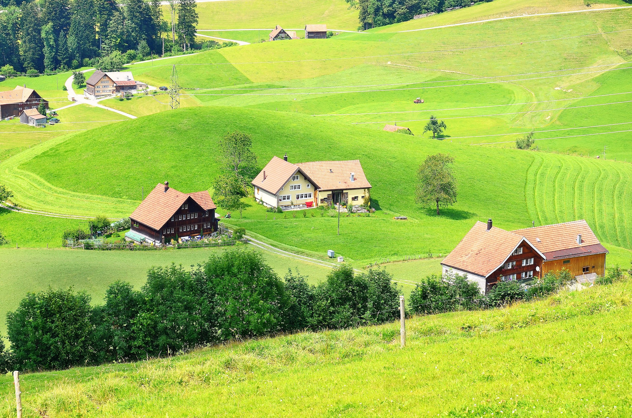 switzerland, Houses, Fields, Trogen, Nature, Cities Wallpaper