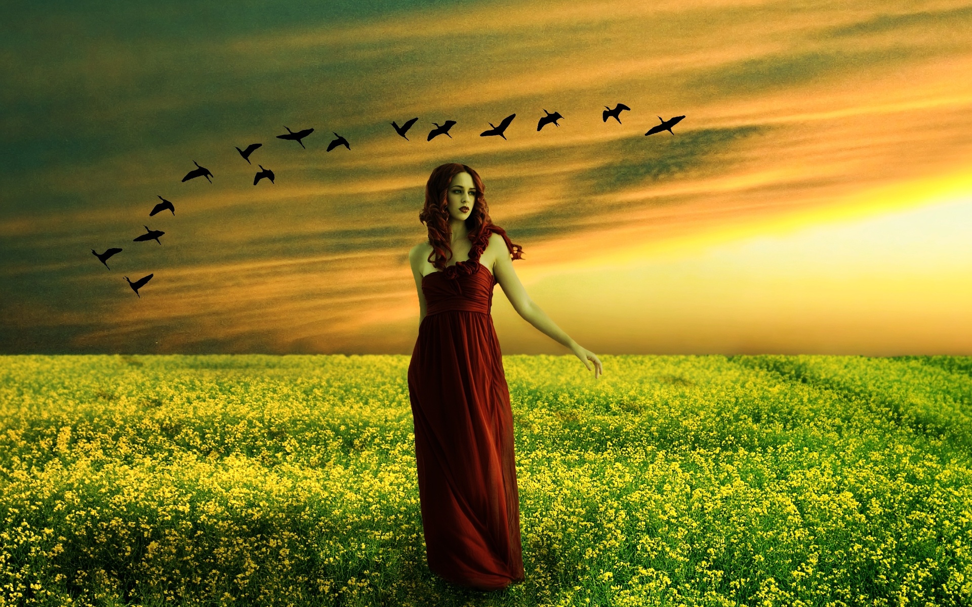 sunset, Field, Girl, Birds, Flower, Flowers, Mood, Gothic Wallpaper