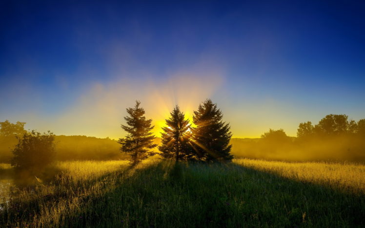 trees, Sun, Rays, Grass, Sky, Landscape, Sunset HD Wallpaper Desktop Background