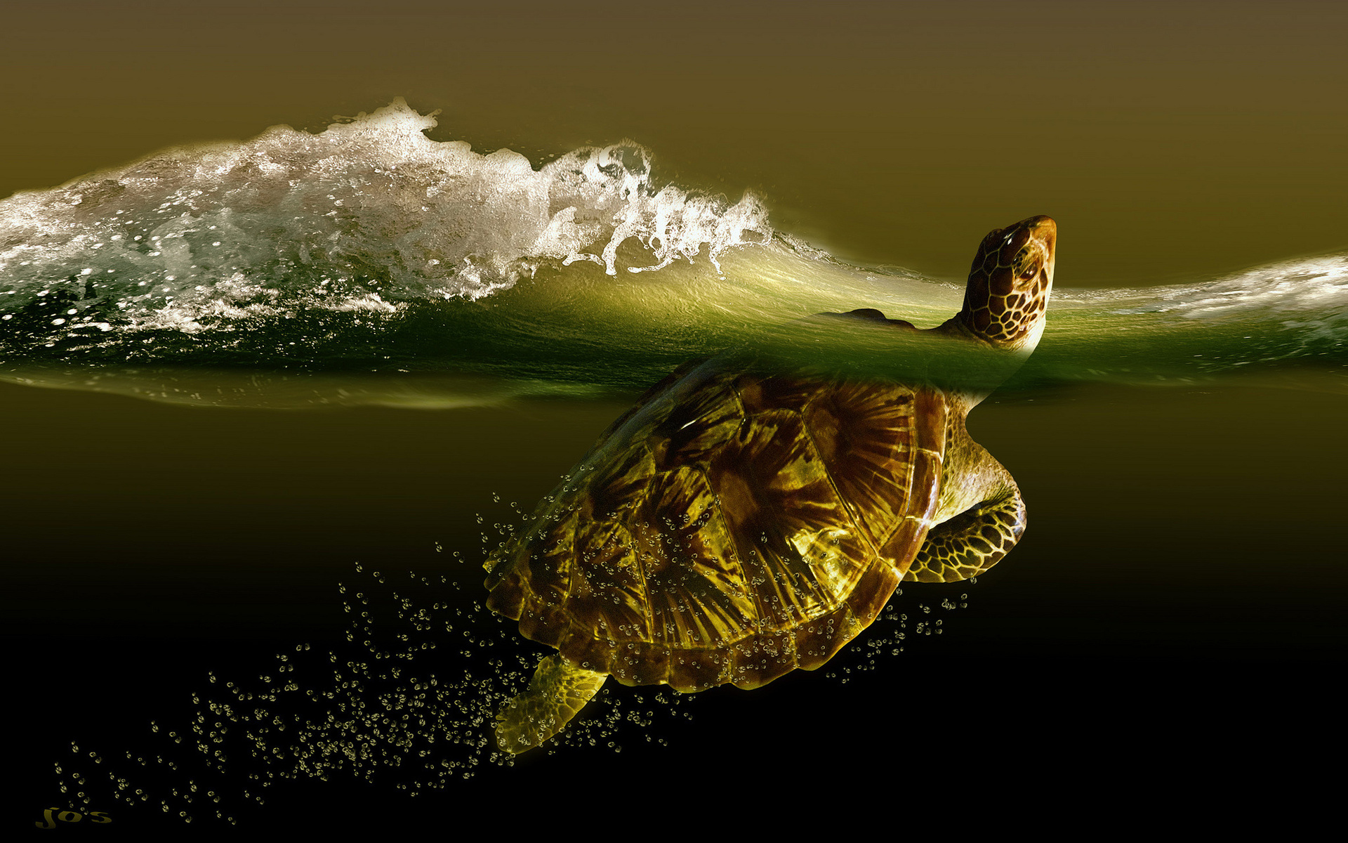 turtle, Sea, Wave, Turtles, Ocean, Waves, Bubbles, Underwater Wallpaper