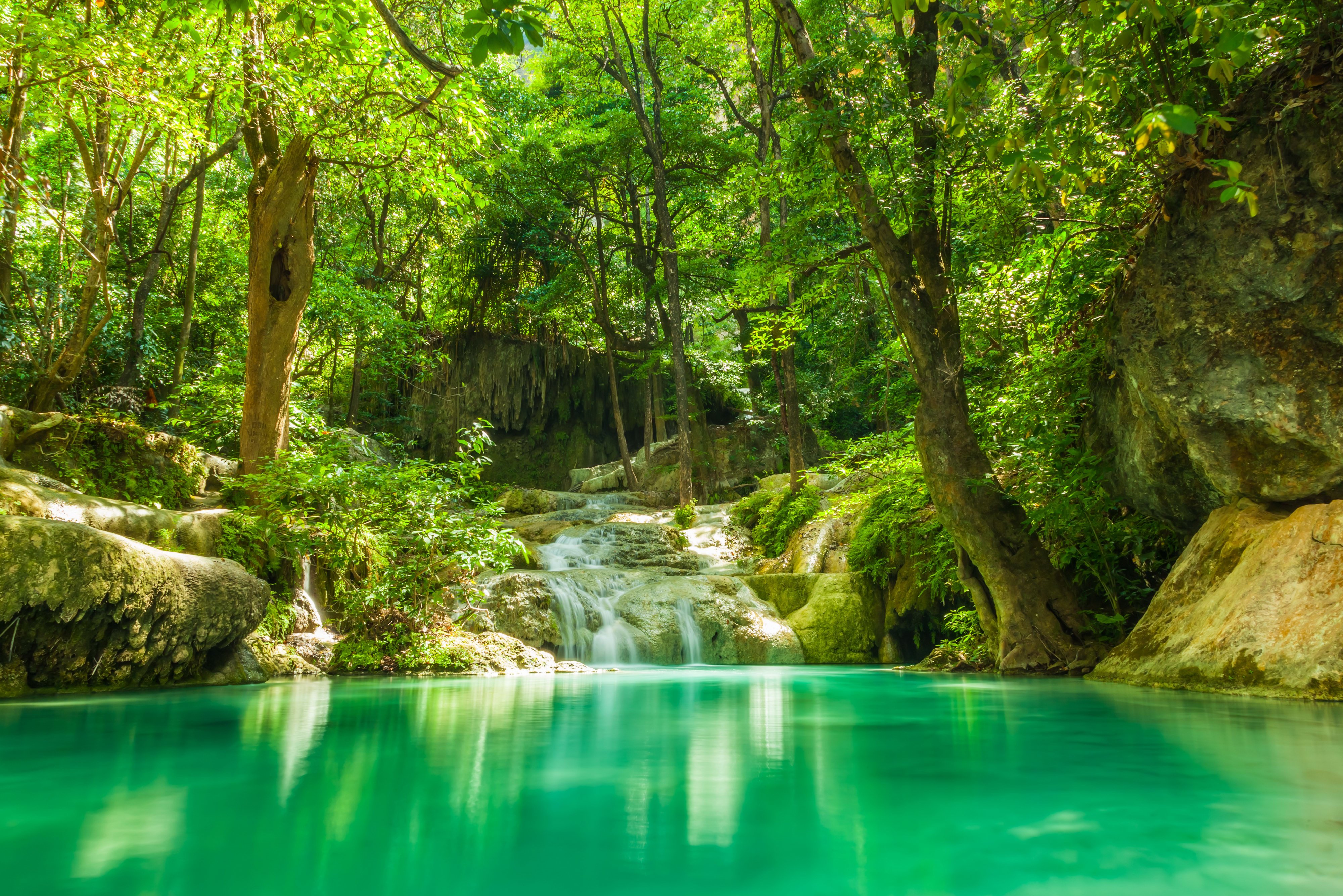 summer, Forest, Lake, Stream, Waterfall, Rocks, Trees, Greenery, Tropical, Jungle Wallpaper