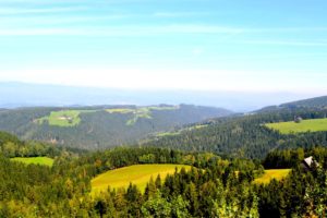 scenery, Austria, Forests, Grasslands, Sky, Nature