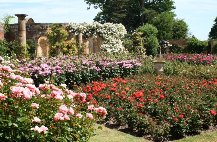 england, Gardens, Roses, Hever, Castle, Gardens, Nature HD Wallpaper Desktop Background