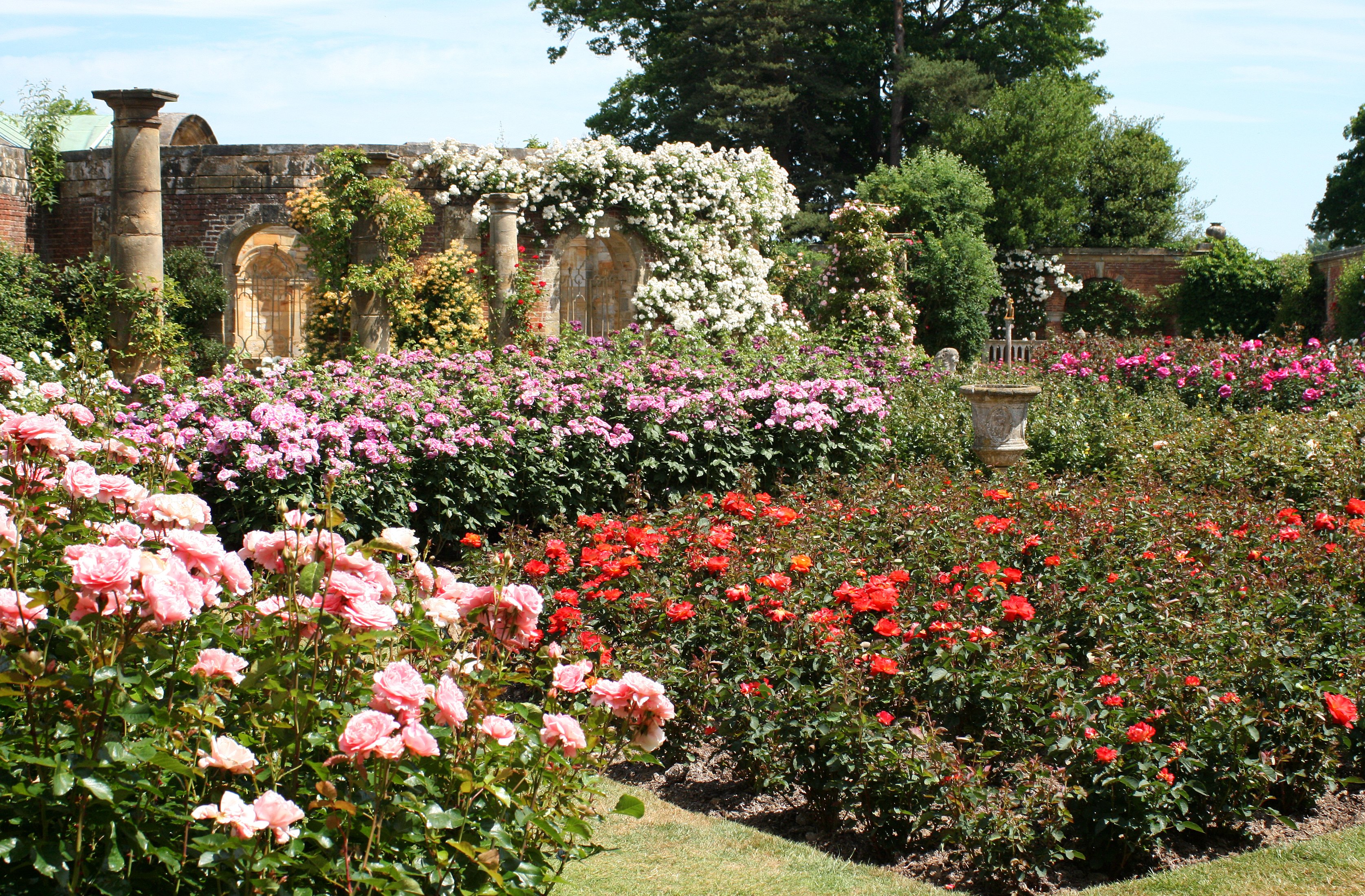 england, Gardens, Roses, Hever, Castle, Gardens, Nature Wallpaper