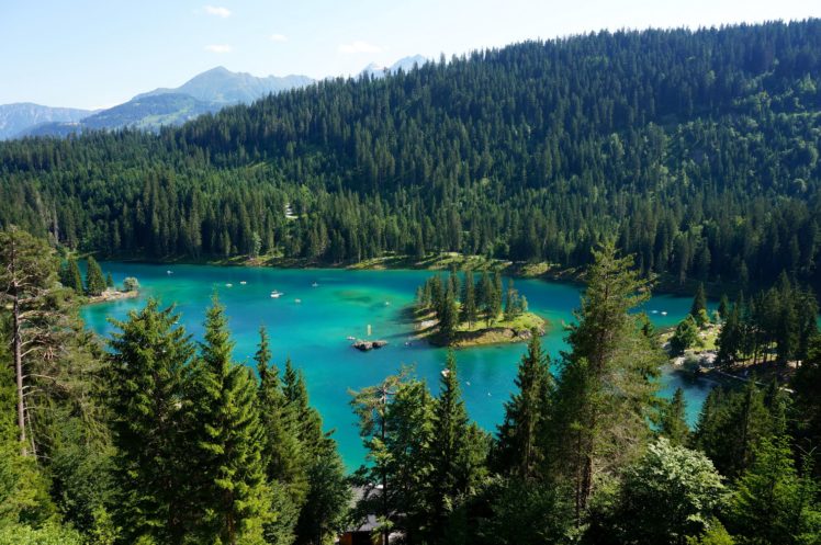 switzerland, Scenery, Lake, Forests, Fir, Ticino, Lake, Maggiore, Nature HD Wallpaper Desktop Background