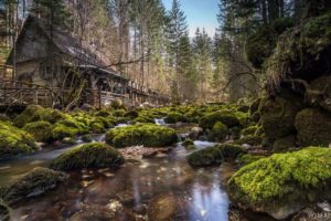 austria, Forests, Houses, Stones, Moss, Stream, Nature