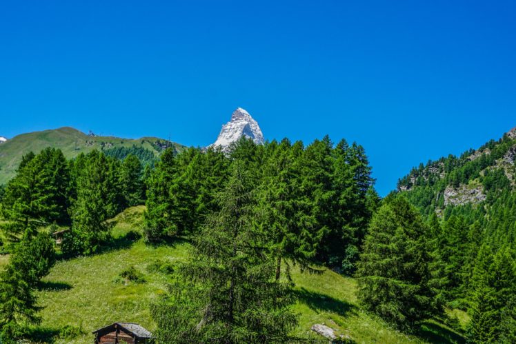 switzerland, Mountains, Fir, Visp, Nature HD Wallpaper Desktop Background
