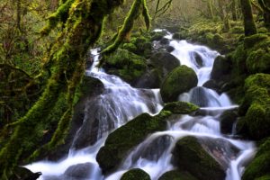 switzerland, Forests, Waterfalls, Stones, Moss, Stream, Soubey, Nature