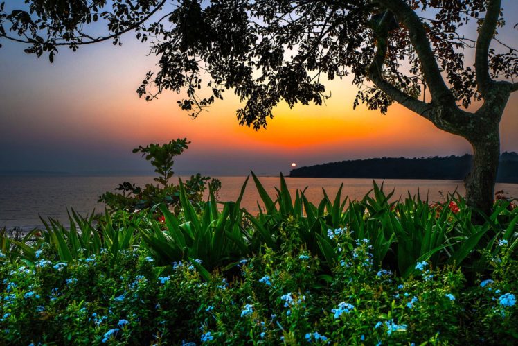 india, Scenery, Sunrises, And, Sunsets, Rivers, Shrubs, Branches, Bambolim, Beach, Goa, Nature HD Wallpaper Desktop Background