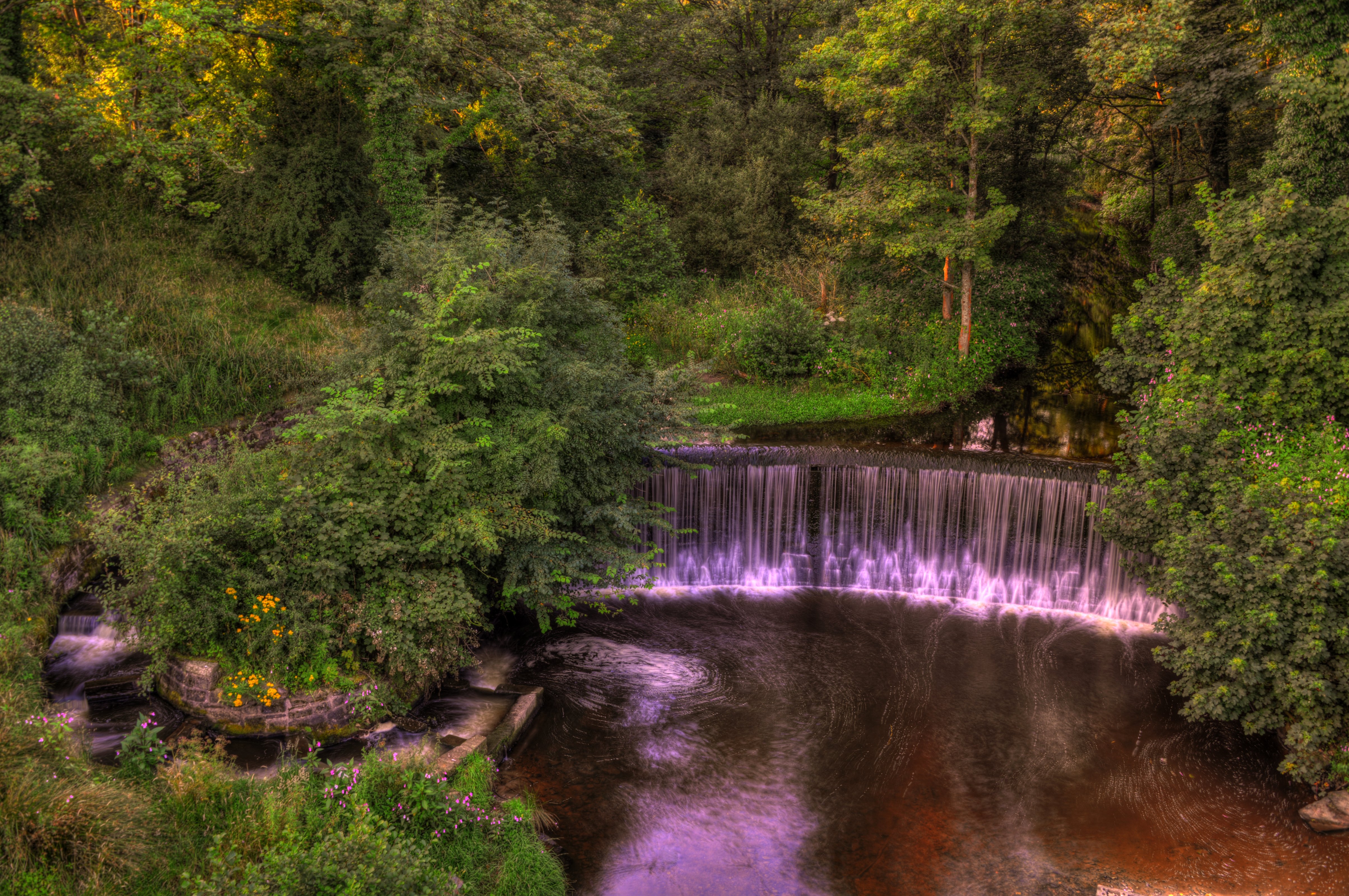 england, Parks, Waterfalls, Forests, Yarrow, Valley, Park, Nature Wallpaper