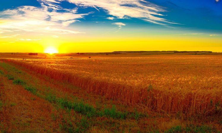 scenery, Fields, Sunrises, And, Sunsets, Sky, Nature HD Wallpaper Desktop Background