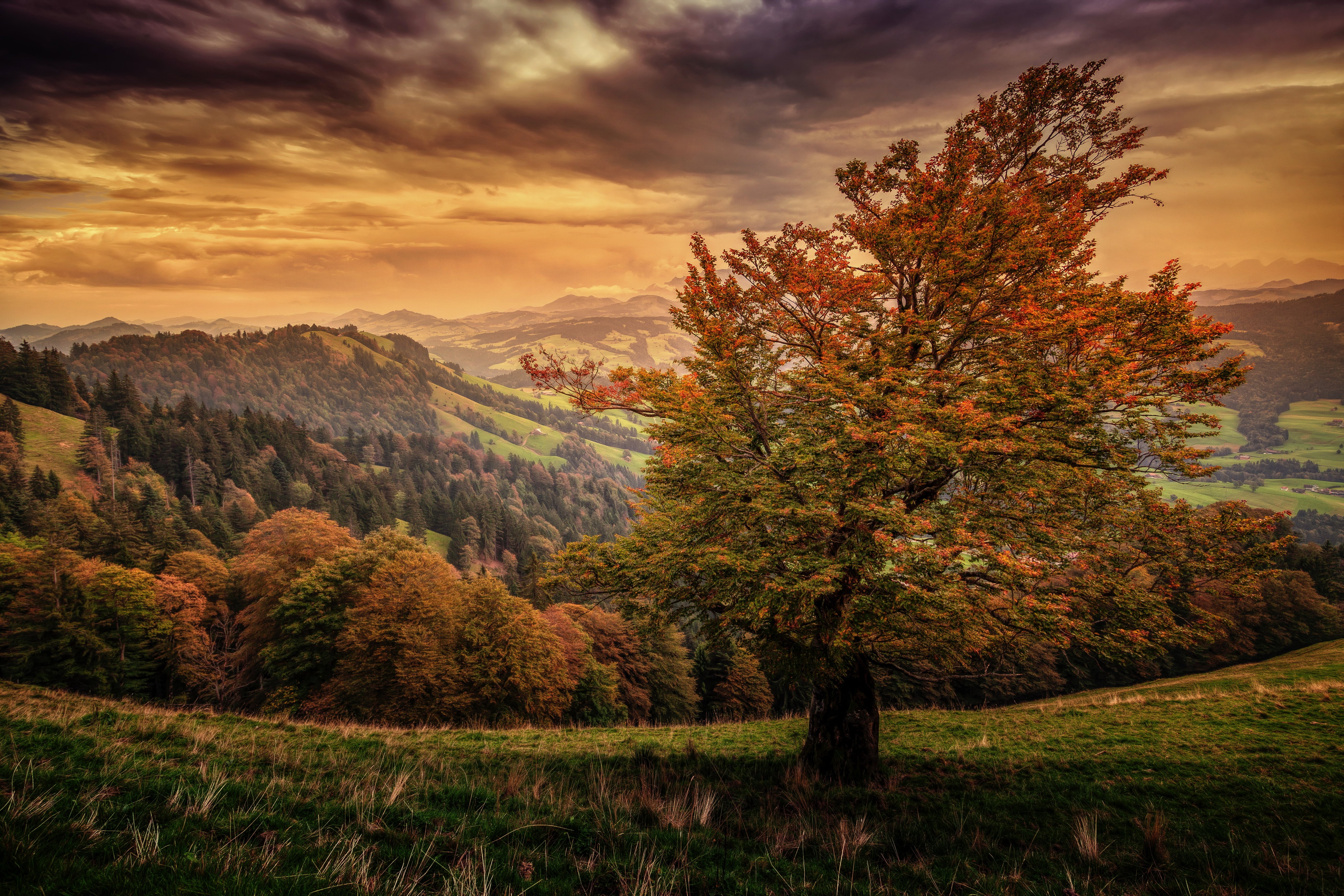 switzerland, Scenery, Mountains, Sky, Autumn, Trees, Nature Wallpaper