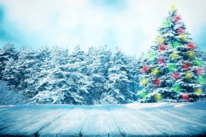 christmas, Tree, Fir, Trees, Snow, Nature