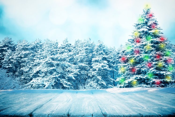 christmas, Tree, Fir, Trees, Snow, Nature HD Wallpaper Desktop Background