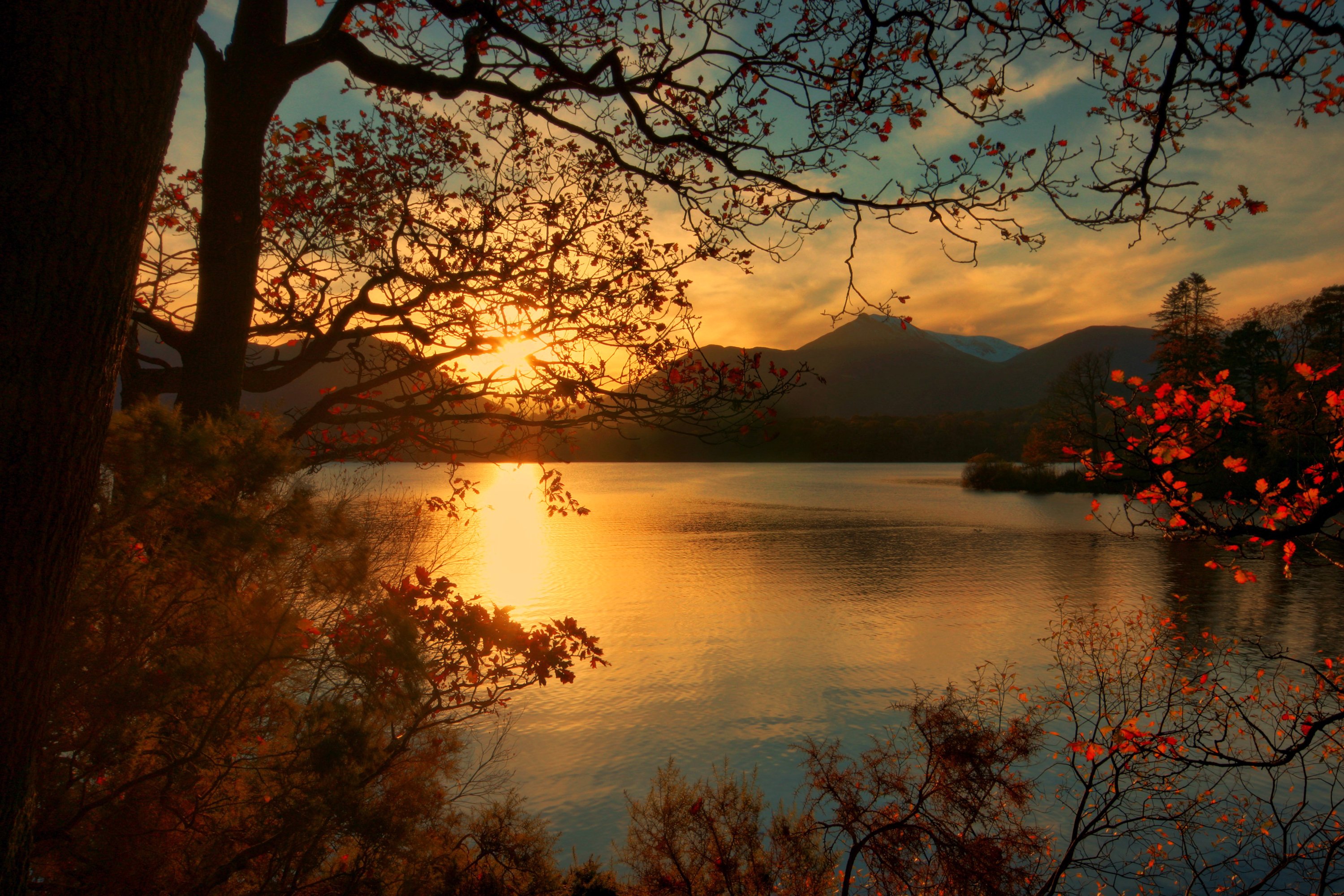 england, Sunrises, And, Sunsets, Lake, Scenery, Branches, Keswick, Nature Wallpaper