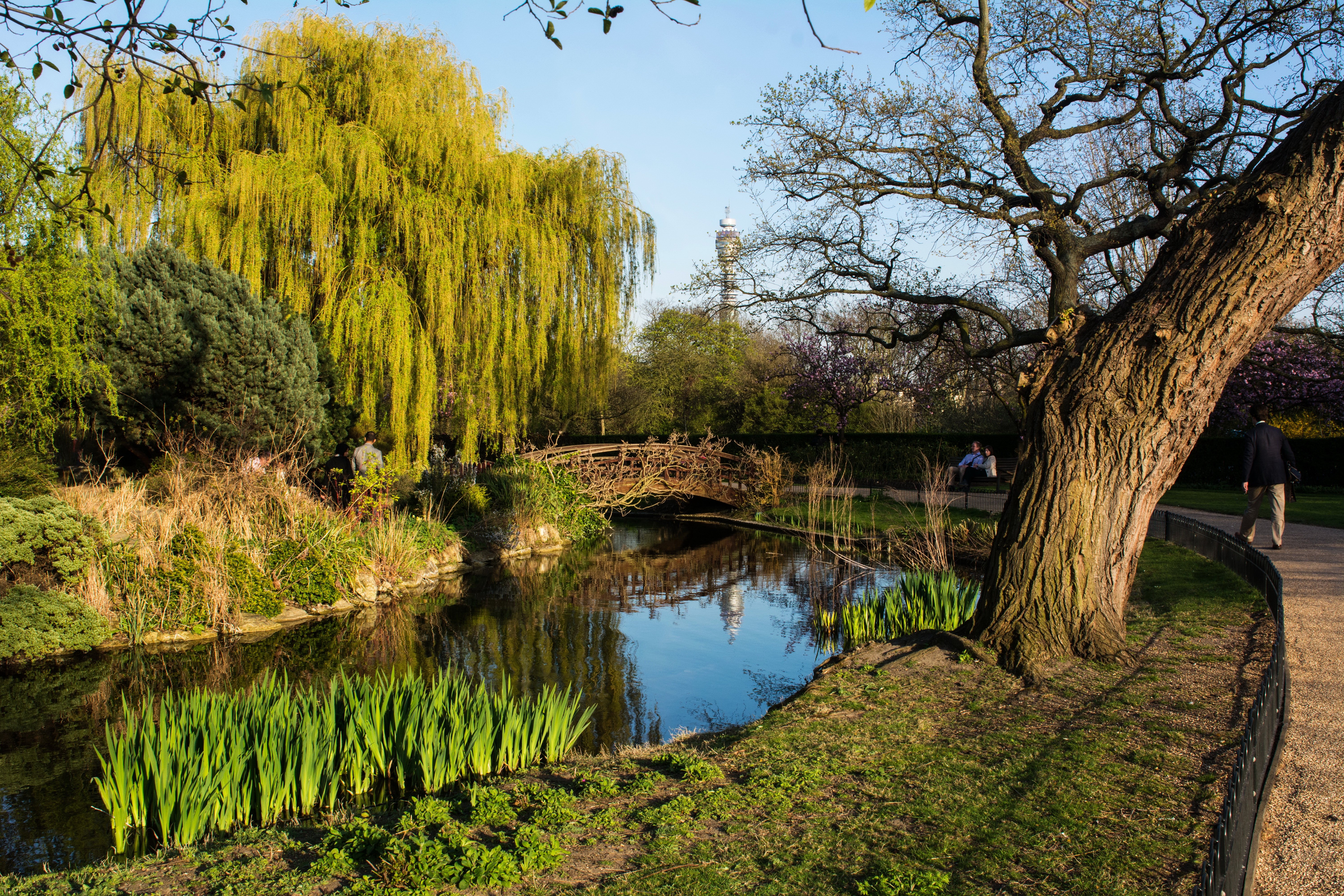 england, Parks, Rivers, London, Trunk, Tree, Trees, Nature Wallpaper