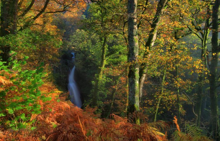 england, Parks, Forests, Waterfalls, Autumn, Trunk, Tree, Dockray, Nature HD Wallpaper Desktop Background