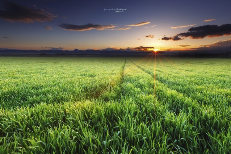 fields, Sky, Sunrises, And, Sunsets, Evening, Nature HD Wallpaper Desktop Background
