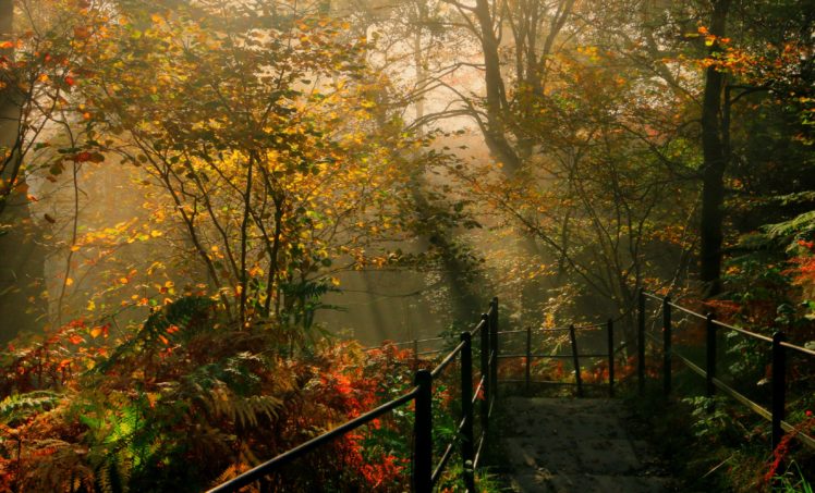 england, Parks, Autumn, Trees, Fence, Dockray, Nature HD Wallpaper Desktop Background