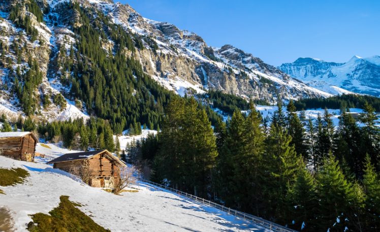 switzerland, Mountains, Winter, Alps, Fir, Snow, Nature HD Wallpaper Desktop Background