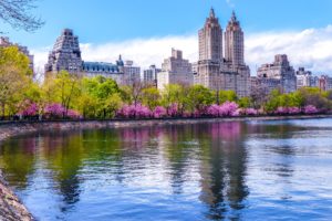 usa, Houses, Rivers, Flowering, Trees, Parks, New, York, City, Central, Park, Cities