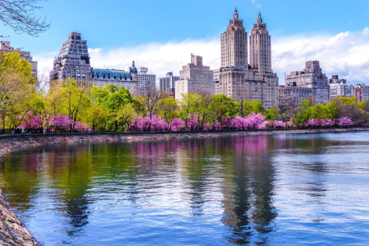usa, Houses, Rivers, Flowering, Trees, Parks, New, York, City, Central, Park, Cities HD Wallpaper Desktop Background