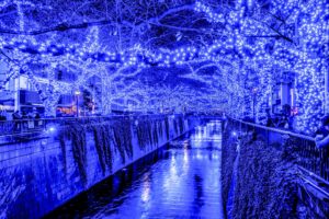 tokyo, Japan, Fairy, Lights, Canal, Night, Branches, Cities