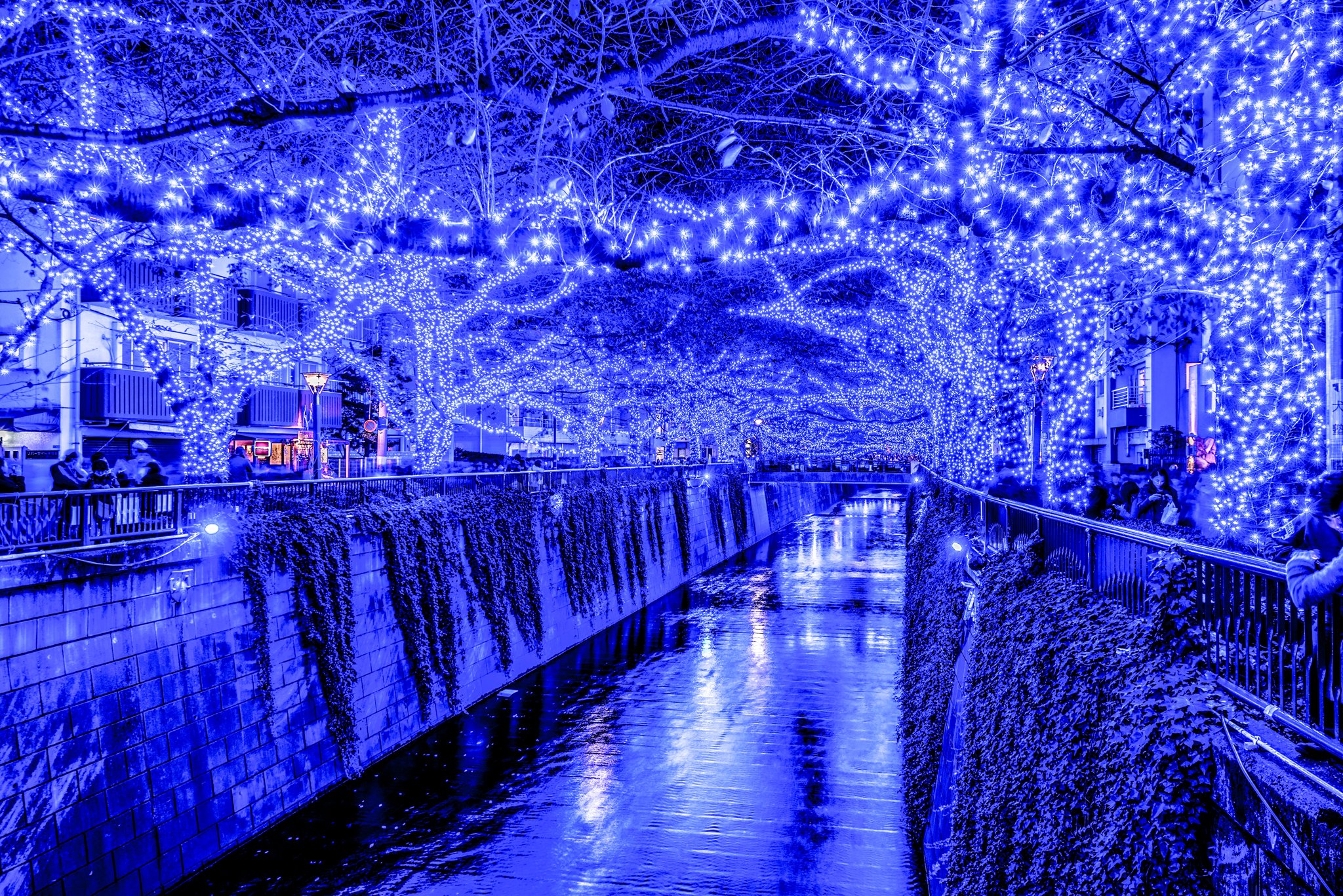 tokyo, Japan, Fairy, Lights, Canal, Night, Branches, Cities Wallpaper