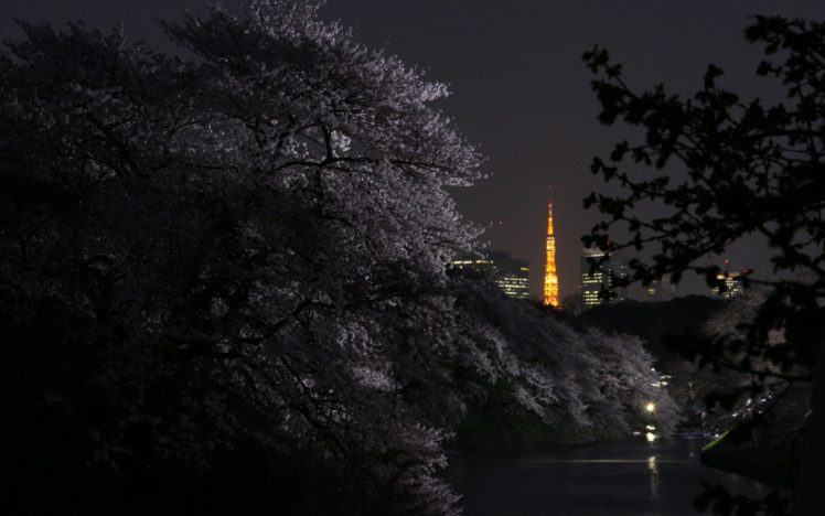 tokyo, Japan, Night, Branches, Cities HD Wallpaper Desktop Background