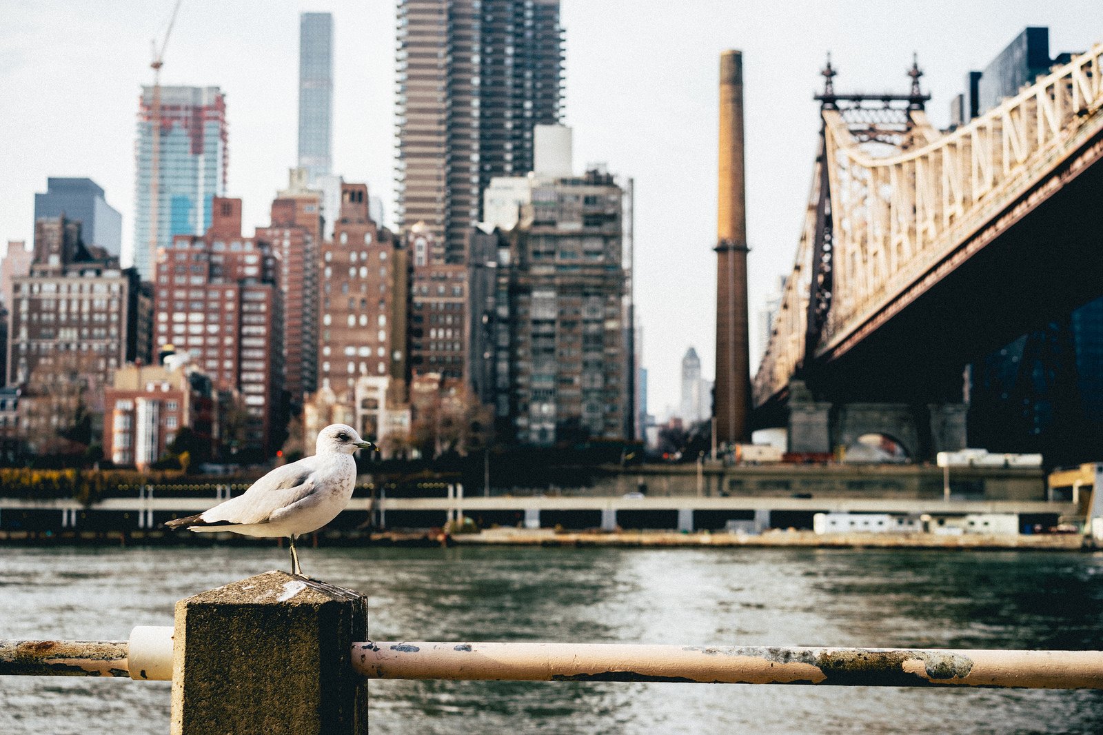 cities, New, York, Nyc, Manhattan Wallpaper