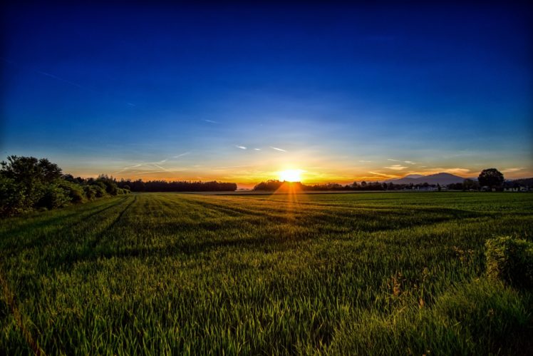 carinthia, Austria, Grass, Sunset HD Wallpaper Desktop Background