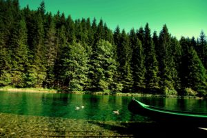 forest, River, Boat, Nature