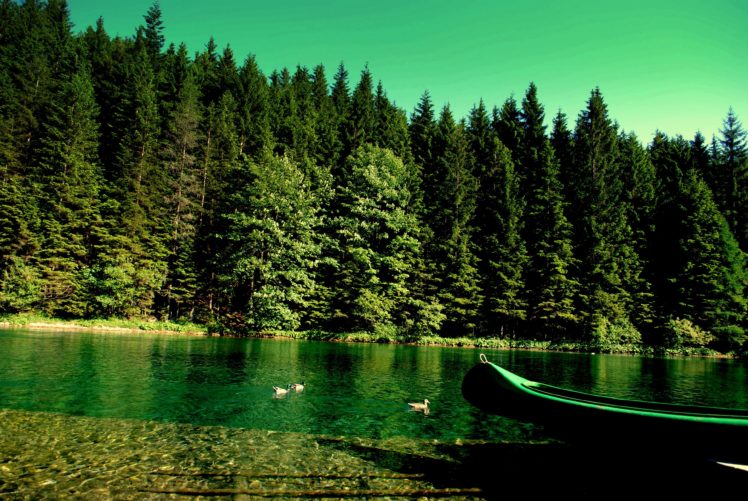 forest, River, Boat, Nature HD Wallpaper Desktop Background