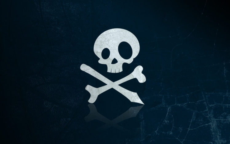 skull, Bone HD Wallpaper Desktop Background