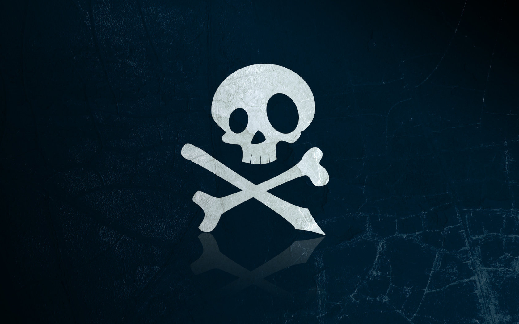 skull, Bone Wallpaper