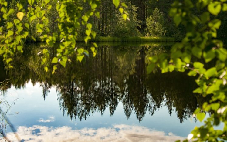landscape, Forest, Lake, Evening, Summer, Forest, Tree, Beauty HD Wallpaper Desktop Background