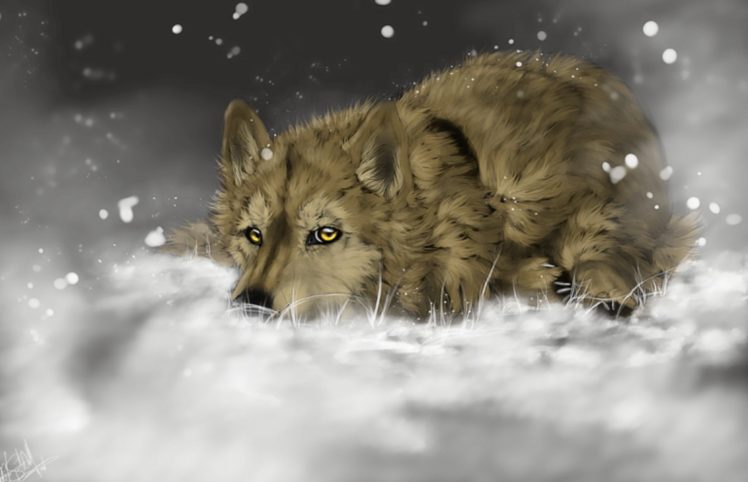 painted, Animals, Painting, Snow, Wolves, Wolf HD Wallpaper Desktop Background