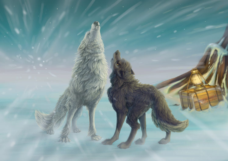 wolf, Howl, Drawing HD Wallpaper Desktop Background