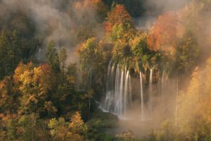 autumn, Colors, Mist, Morning, Light, Of, Dawn, Forest