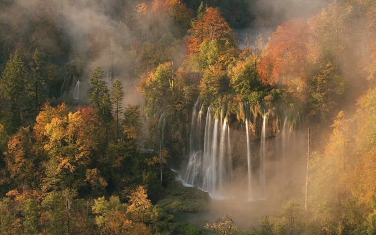 autumn, Colors, Mist, Morning, Light, Of, Dawn, Forest HD Wallpaper Desktop Background