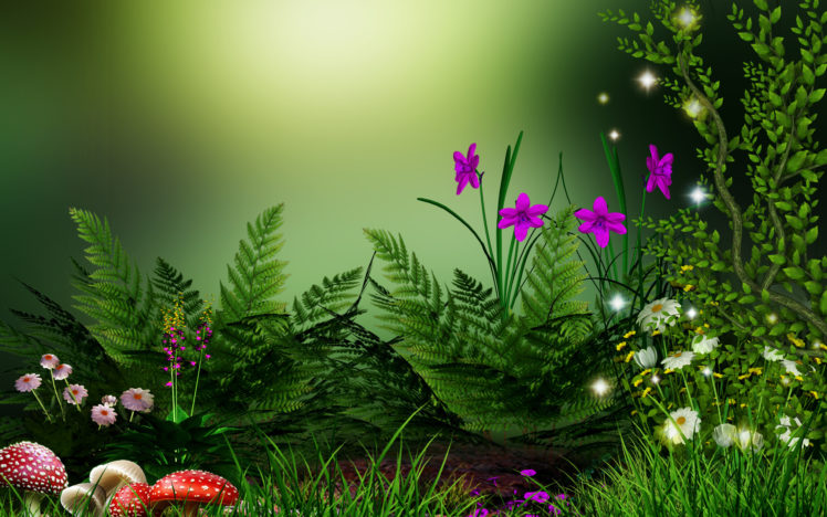 flowers, Grass, Mushrooms HD Wallpaper Desktop Background
