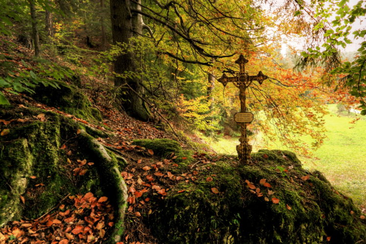 forests, Autumn, Foliage, Cross, Moss, Nature, Gothic HD Wallpaper Desktop Background