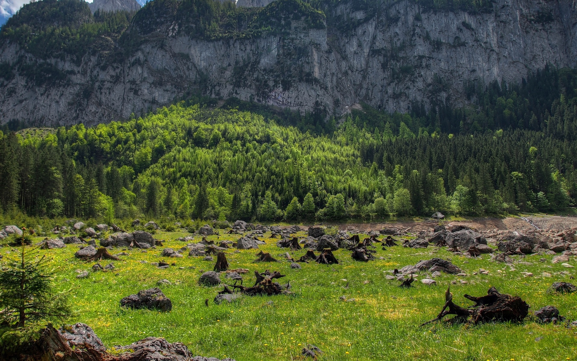 mountains, Trees, Rocks, Driftwood, Landscape, Austria Wallpaper